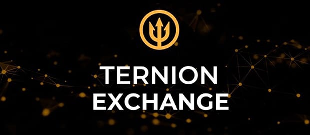 ternion.exchange Registrierung auf der Website der Börse