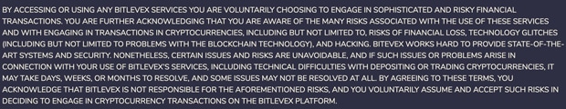 Bitlevex Nutzungsvereinbarung