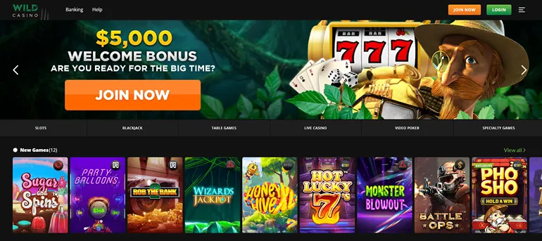 Wild Casino offizielle Website