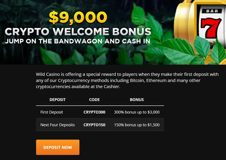 Wild Casino Krypto-Bonus